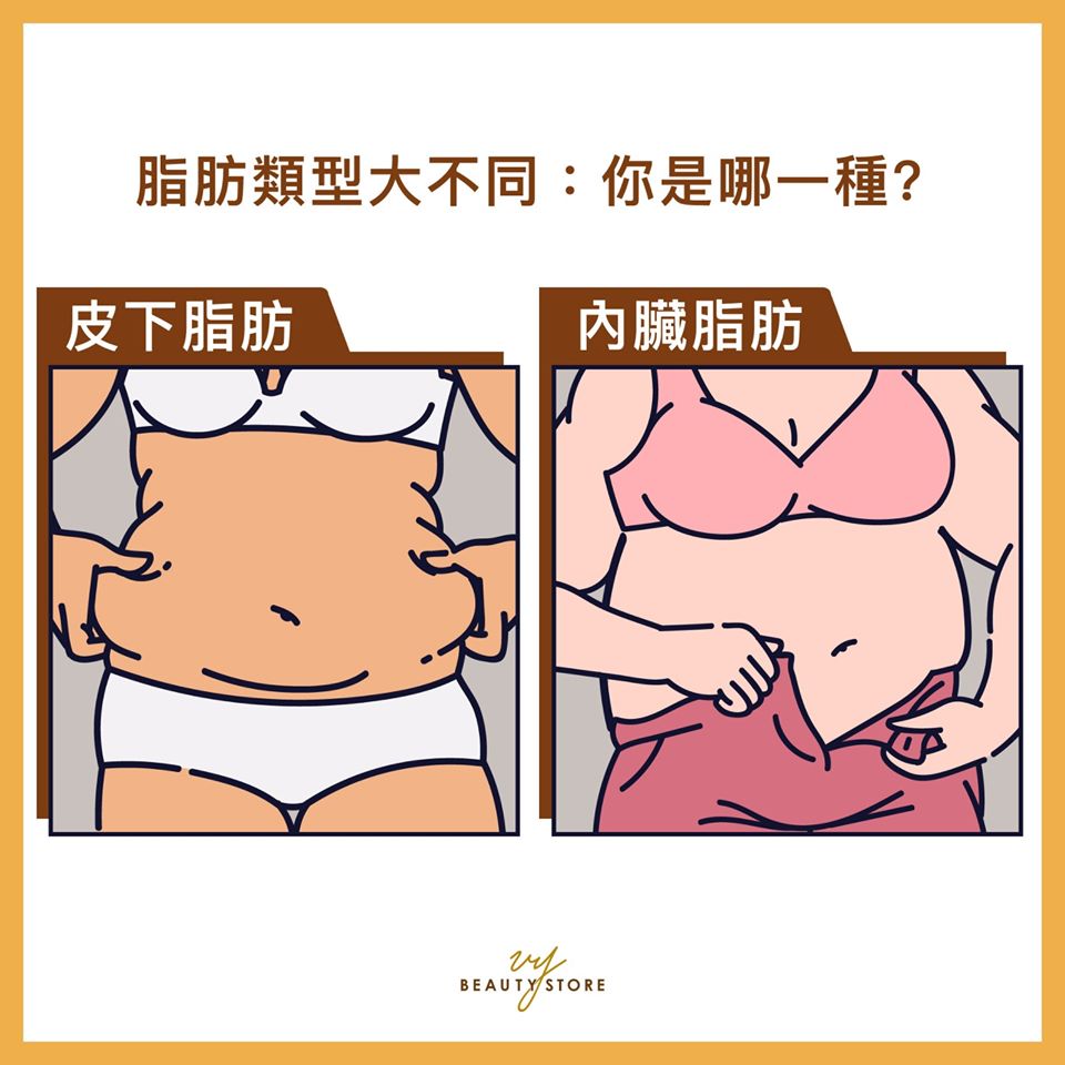 脂肪類型大不同:你是哪一種?