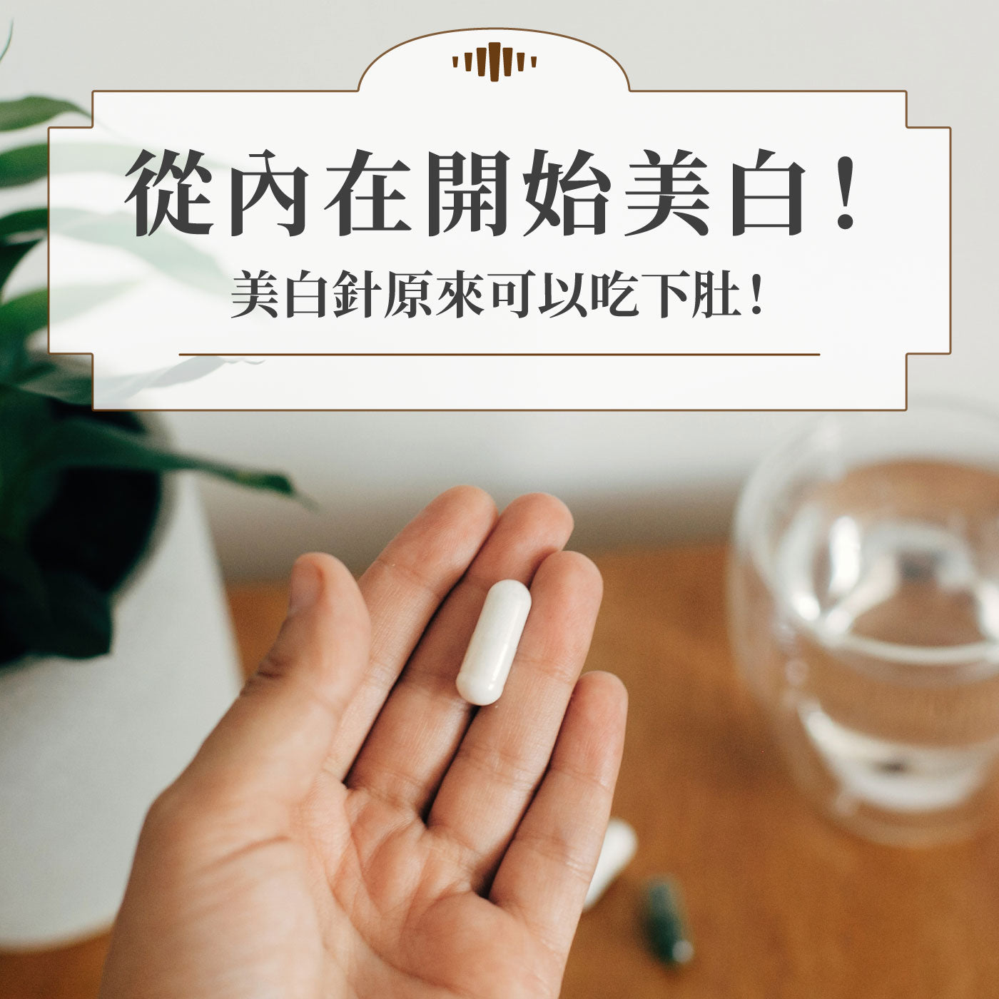 從內在開始美白的美白丸介紹