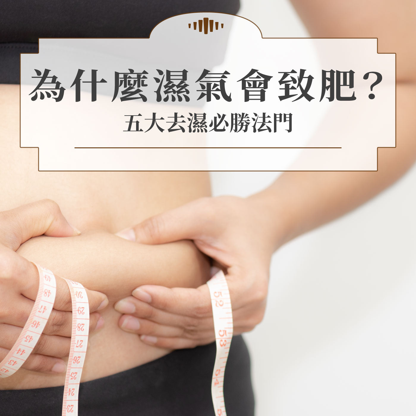 為什麼濕氣會致肥?五大去濕必勝法門