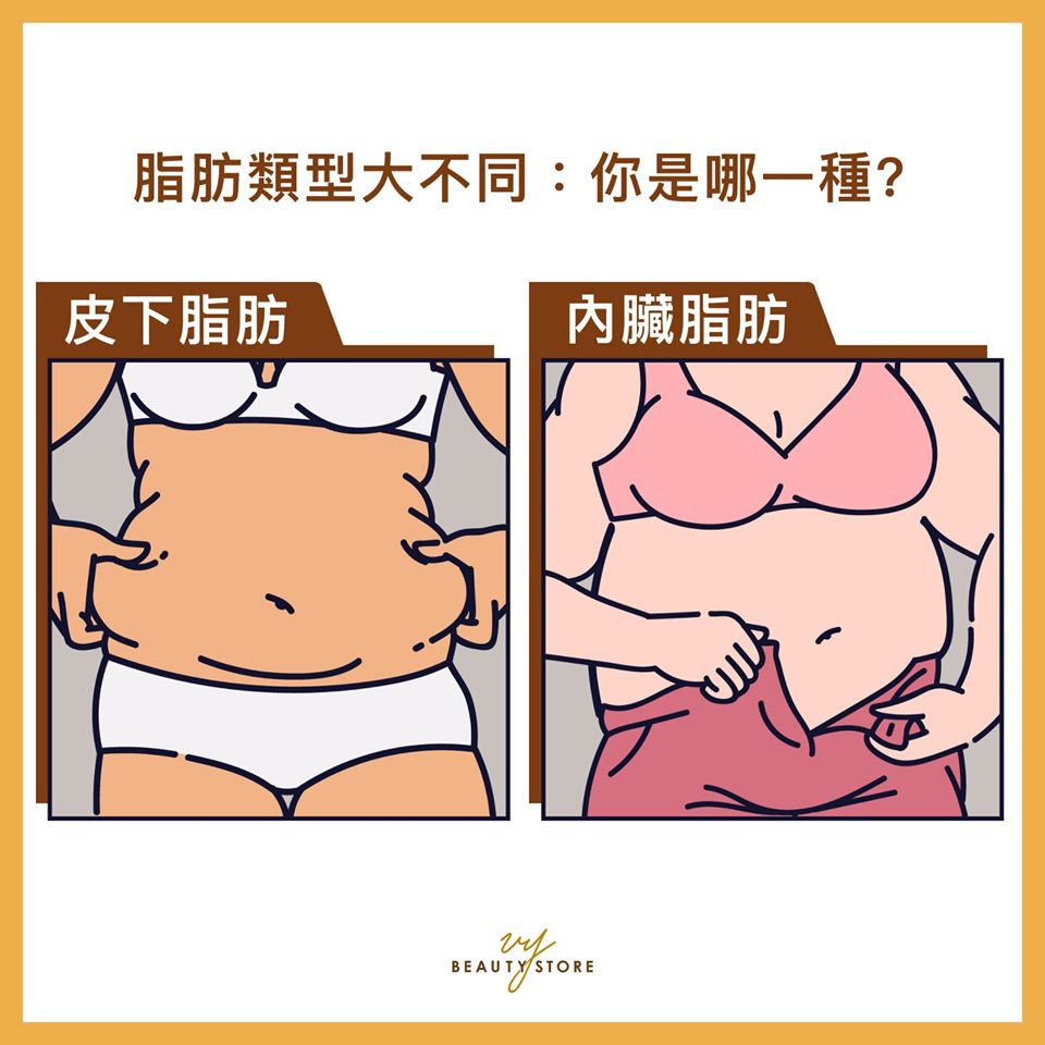 脂肪類型大不同：你是哪一種？